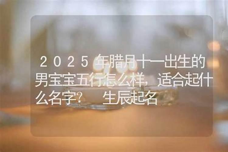 2025年1月2日出生的男孩起名字大全
