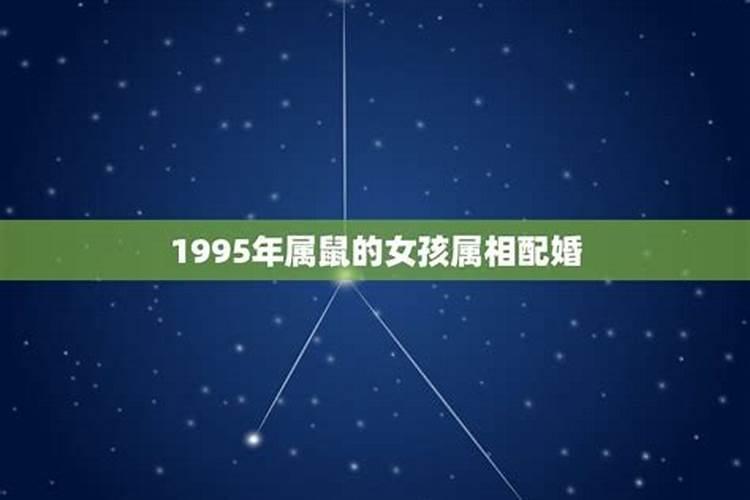 95年属猪一生三大劫难,属猪的一生有几次劫难