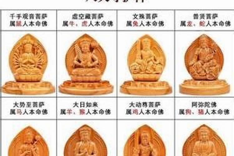 蛇本命佛菩萨是什么