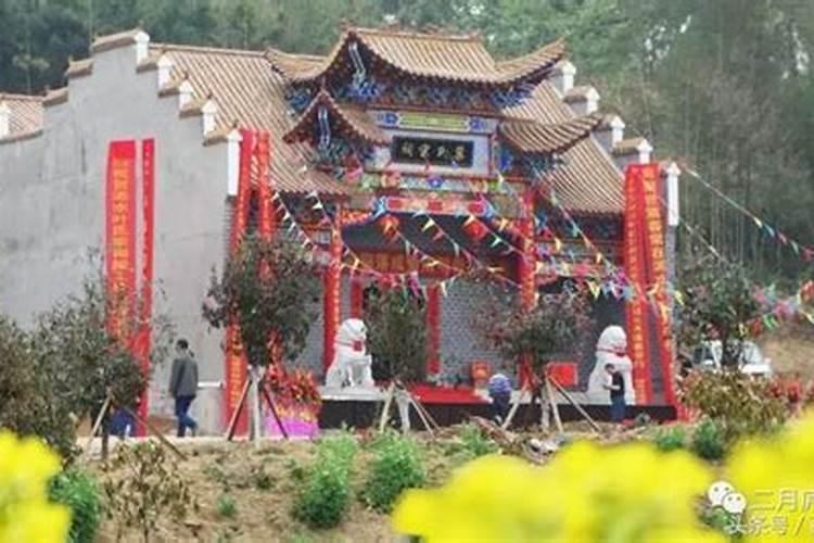 属羊腊月初一出生的女孩好不好 是什么命？