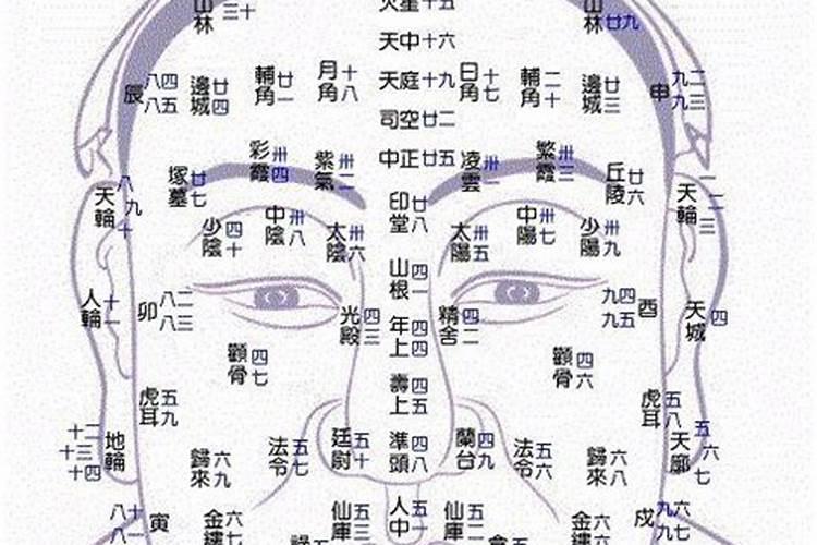 八字看事业发展方向