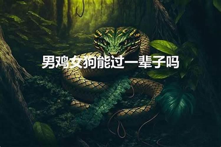 金鸡玉犬难逃避,合婚双份不可迁,多灾多难