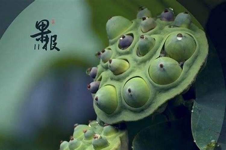 知道别人属相怎么算年龄,知道生肖怎么推算年龄