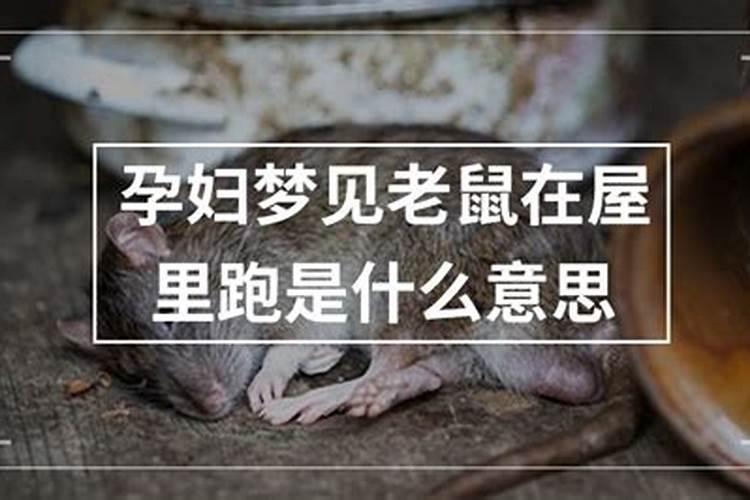 梦见房间好多老鼠乱跑的预兆