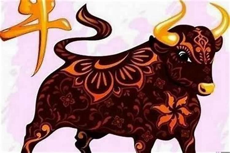 属牛的过本命年最忌讳什么