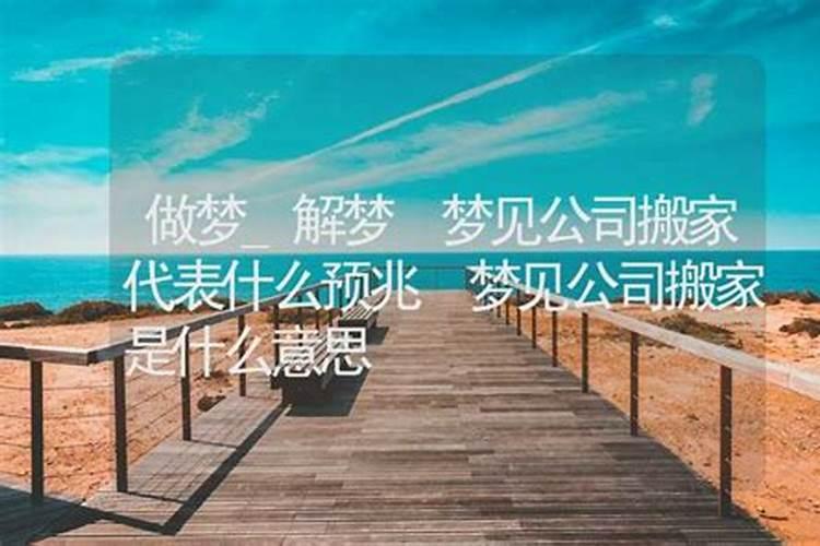 梦见公司老板的预兆