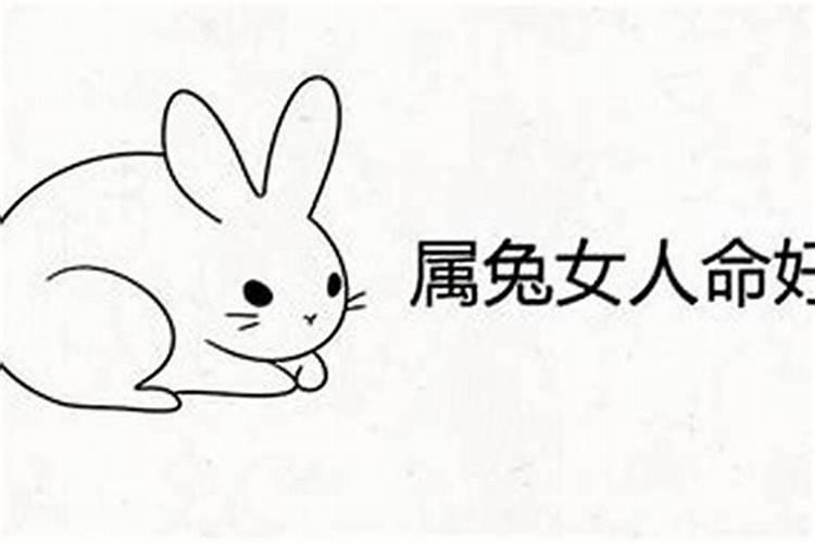 生肖运势分析:2021年11月属兔女运势发展方向好吗？
