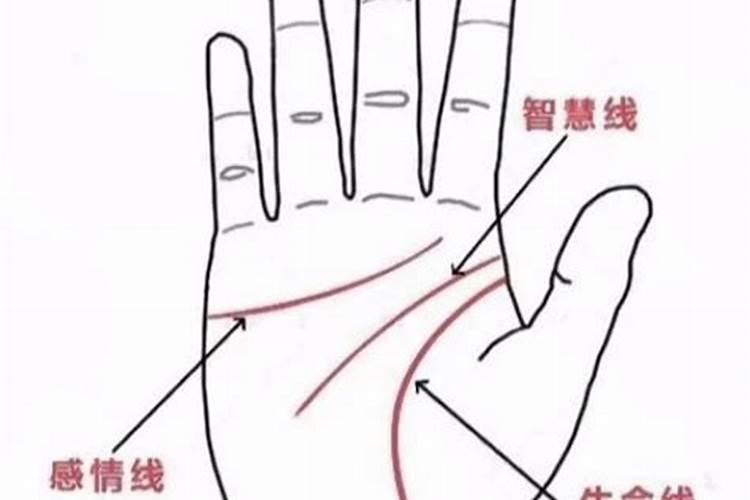手相婚姻线很准吗？