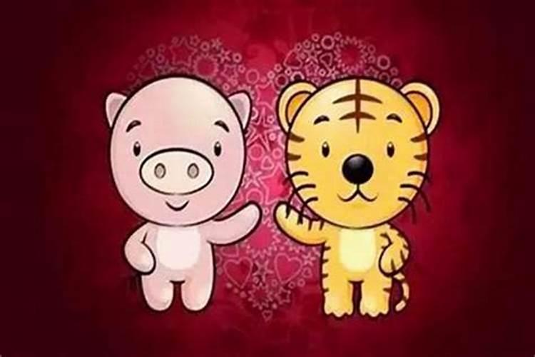 生辰合婚:属虎的女人与属狗男相配吗 两人有姻缘吗