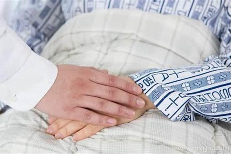 梦见一条大狼狗和我很亲的感觉,总是跟着我。
