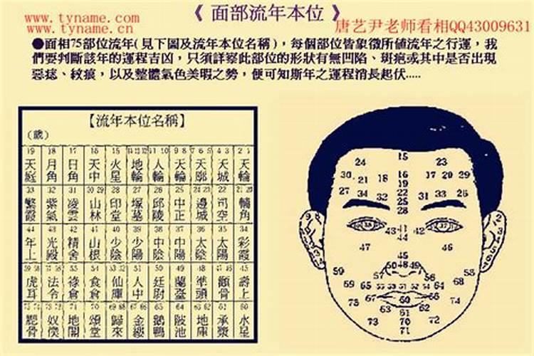 1976年属龙人2025年全年运势