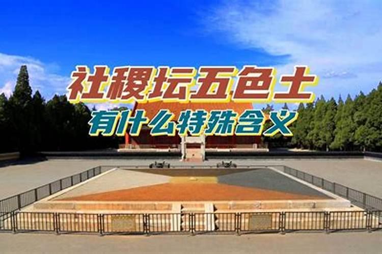夜晚走路看见蛇预示着什么的,近期会比较幸运