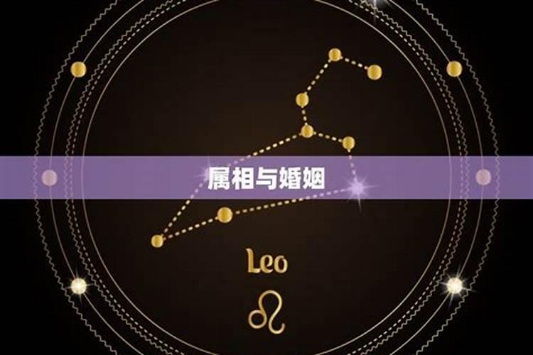 星座属相不合的两人在一起,属相是三合贵人,但星座不和,能配在一起吗