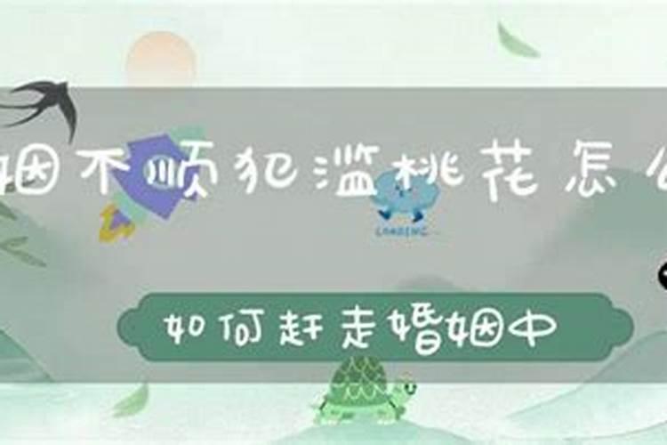 95猪女2025每月运势