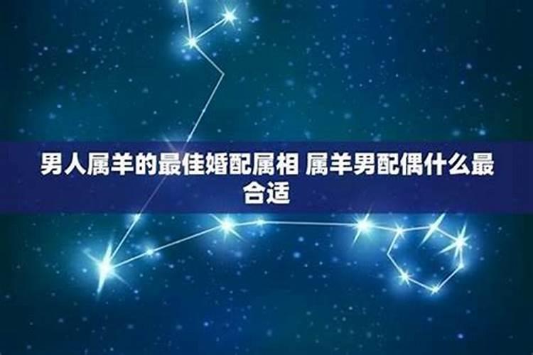 梦见喜欢的明星一起冒险