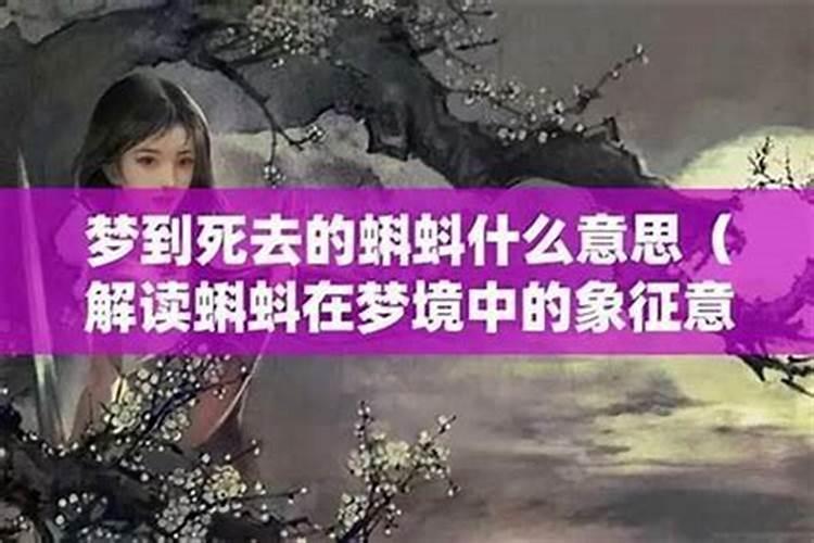 梦见杀马吃马肉是什么意思