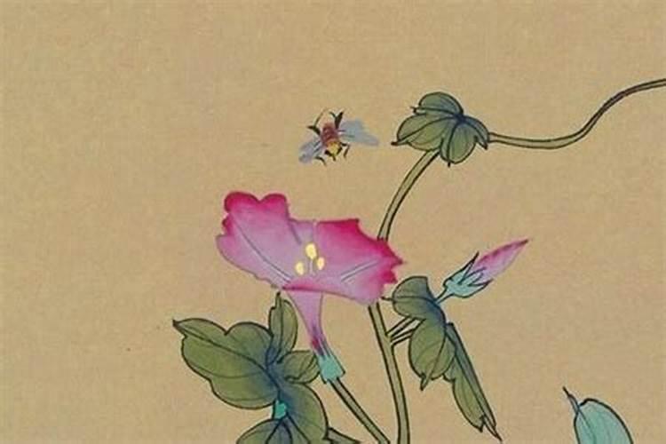 两个金命人的婚姻是上等婚 夫妻恩爱安享晚年