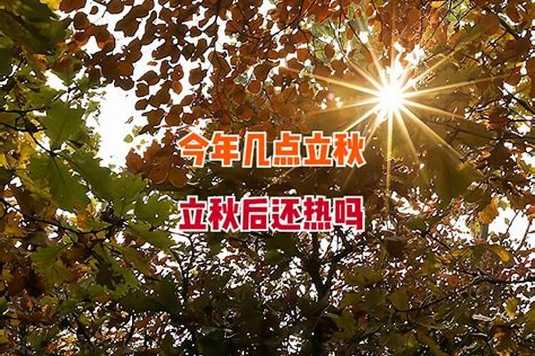 生肖牛2025年运势及运程如何