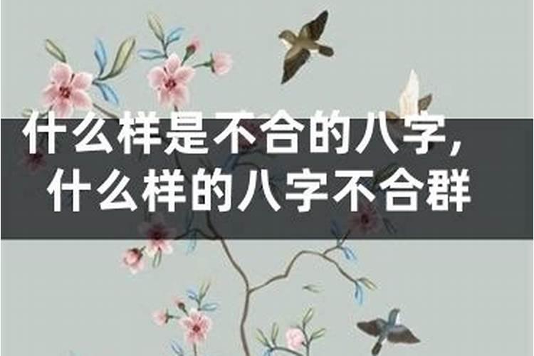 八字不合分两地猜一个生肖,八字合婚表