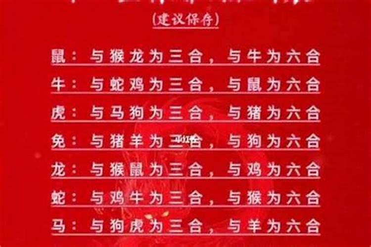 曾仕强谈生肖属相婚配表,生肖龙配对属相婚配表