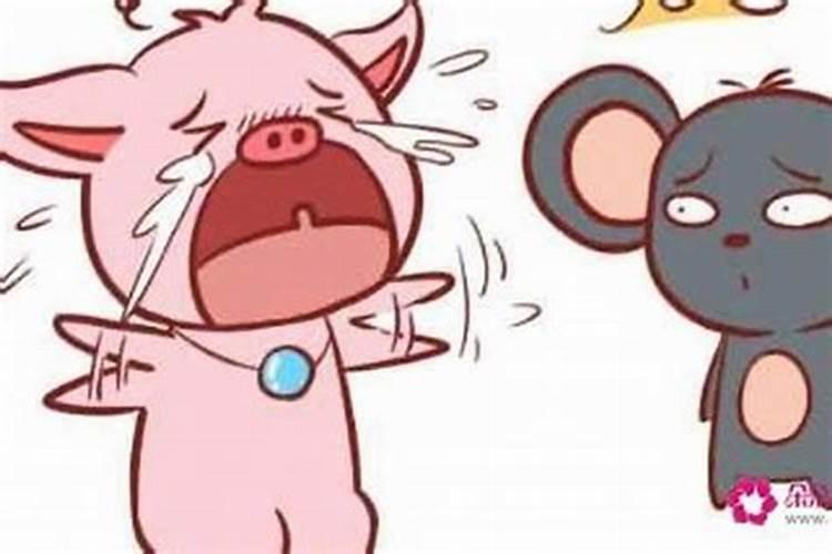 属鼠男和属猪女婚配怎么样 男鼠和女猪相配吗？