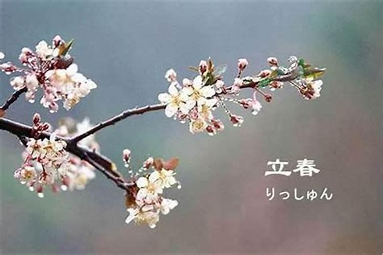 请问1985年2月4日立春当天,辰时出生,是属鼠还是牛？辰时过了立春的时辰...