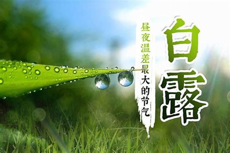 出生在白露寒露和秋分命运对比 具体看孩子的八字生肖？