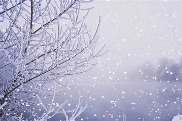 大雪节气是冬至吗