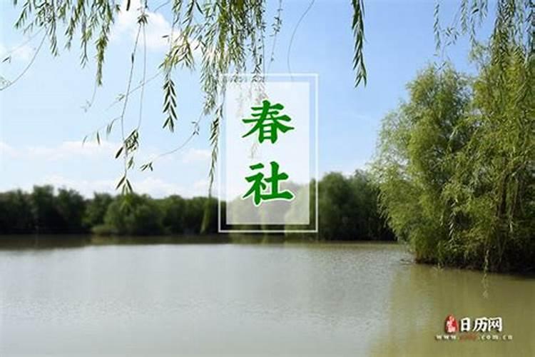 过完冬至可以去上坟吗