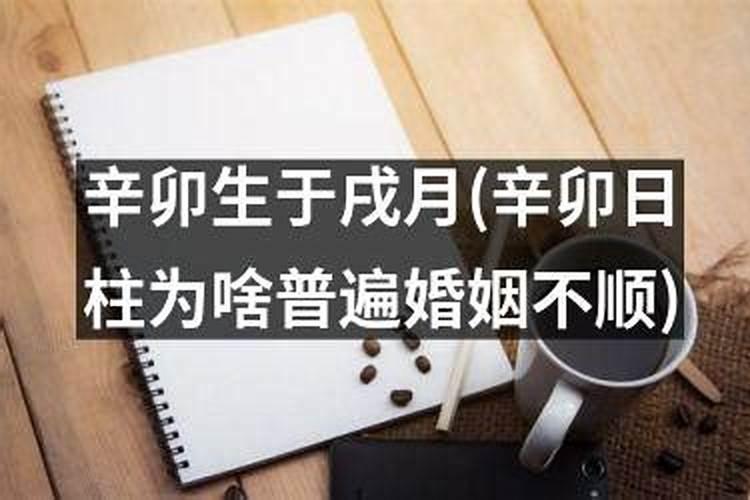 辛卯日柱婚姻真的很惨 辛卯日柱最佳姻缘？