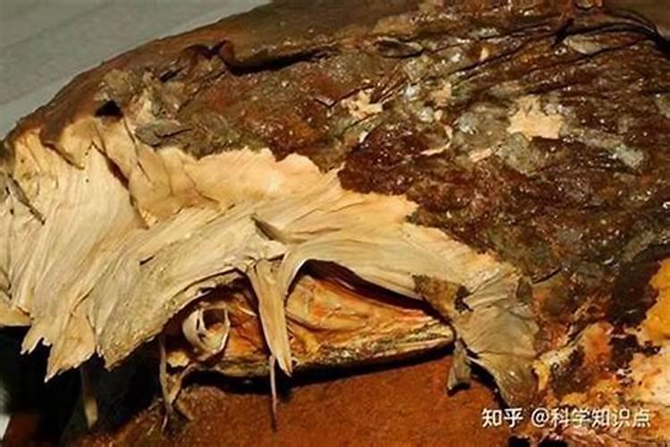 太岁头上动土里的“太岁”是什么意思？什么是太岁/