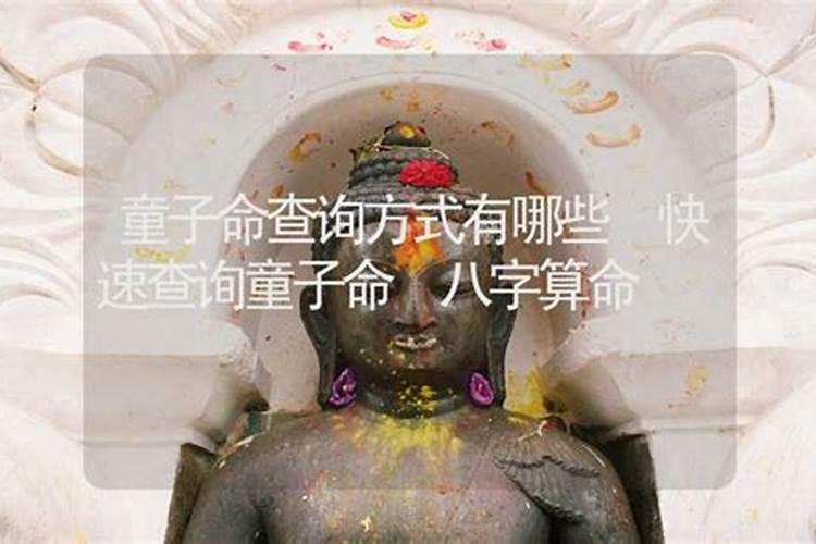 南方人冬至吃什么传统食物