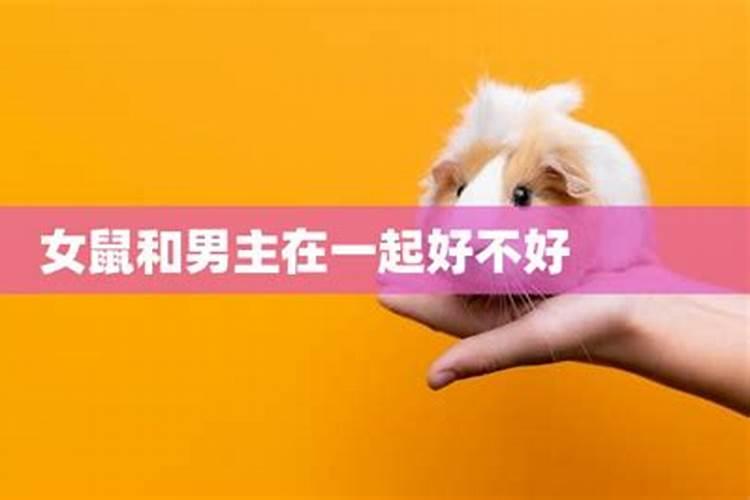 算婚姻:属鼠男和属鼠女八字相合吗 婚姻好吗