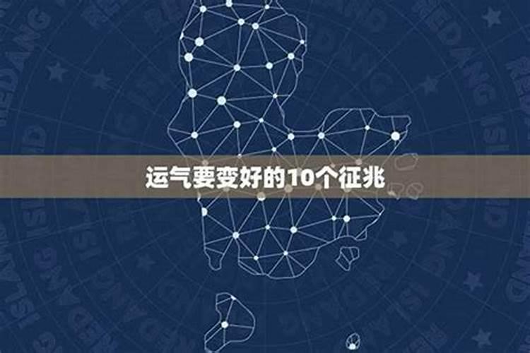 女人梦见乌龟咬什么预兆