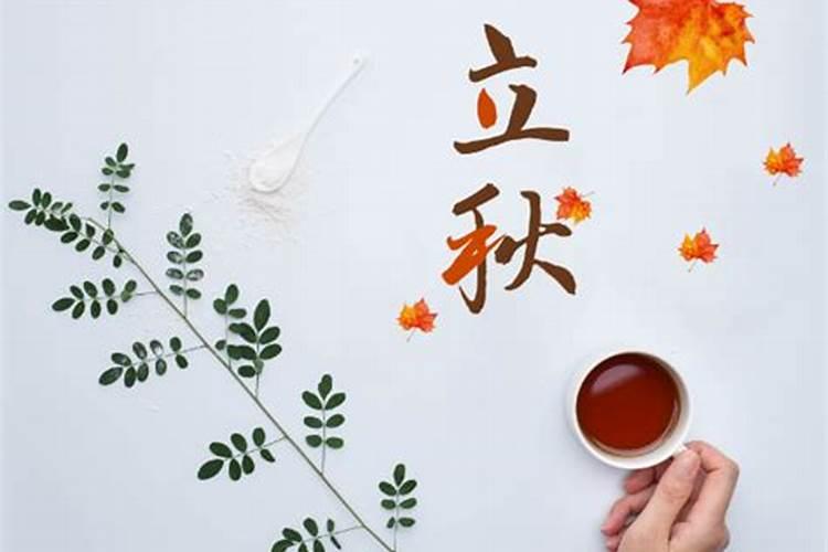 合婚和结婚有啥区别