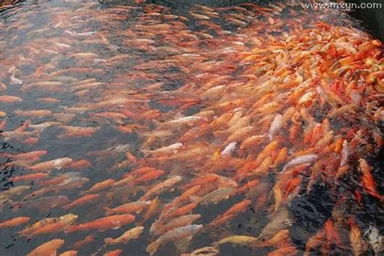 金牛座2024年的全年运势每月运势