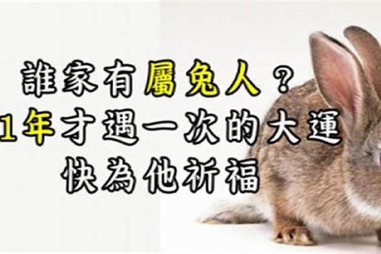 2025年63年属兔女运势