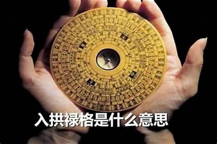 专旺格解析:命理中的成功秘诀