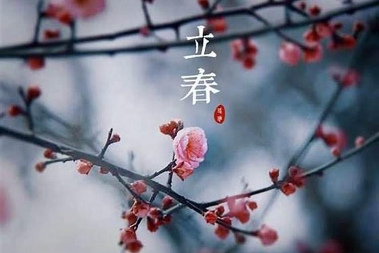 梦见黑狗是什么预兆 梦见黑狗是什么意思
