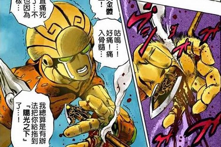属鼠人2025年运势详解