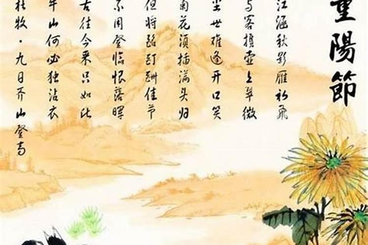重阳节都是有什么习俗？