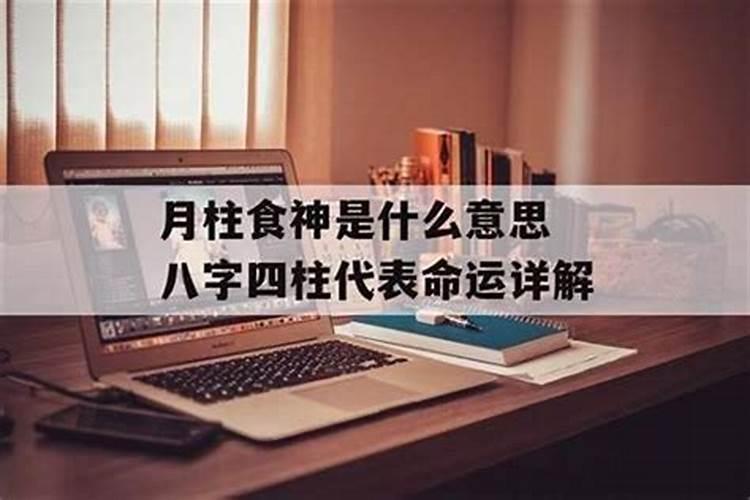 八字里四个食神三个七杀,食神格是几等命