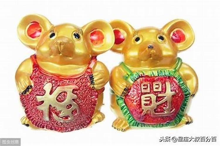 1984年闰十月属鼠的命运如何