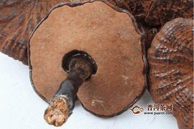 大运和流年哪个力量大