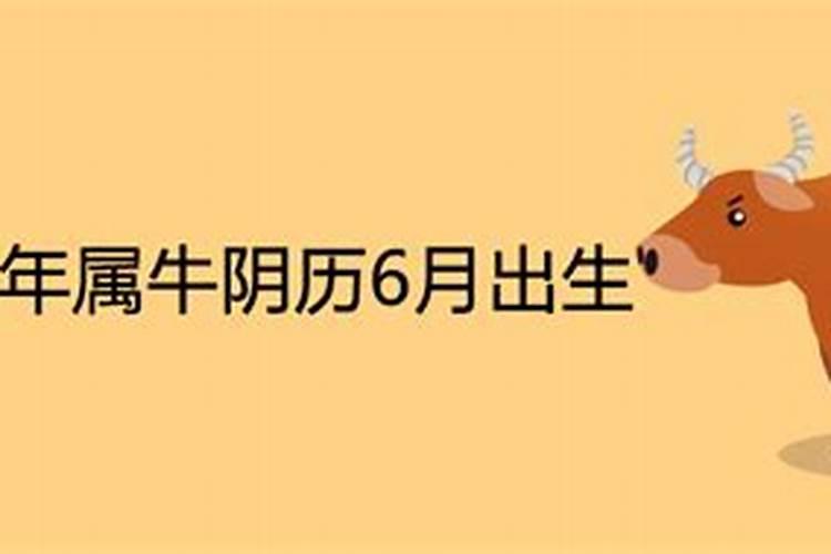 春节和除夕有什么区别