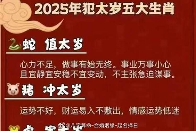 属马人哪一年犯太岁最严重,各方面运势如何