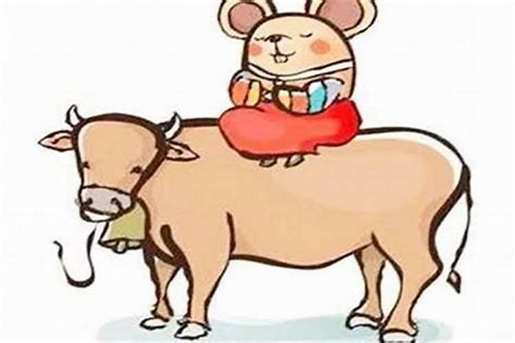75年属兔的今年财运好吗 后半年运势如何？