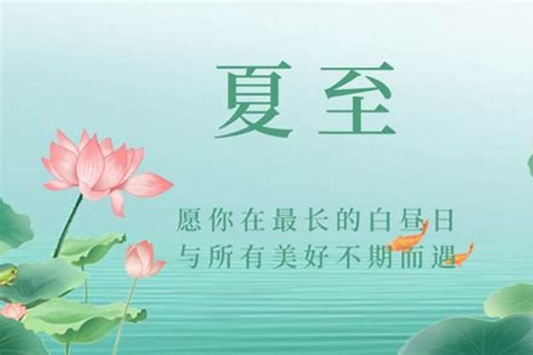 夏至有哪些植物花卉