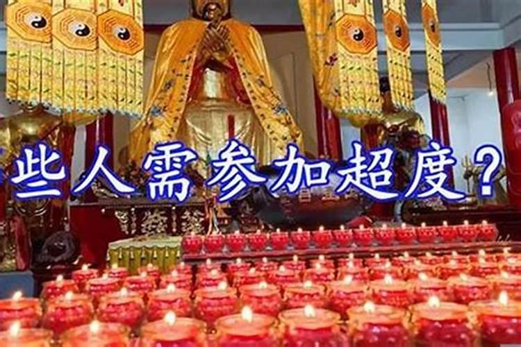 今年属猪的运气会怎么样