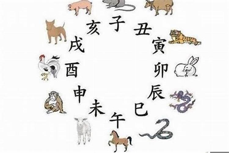 男羊女虎婚姻最终结局,属相婚配:男属羊和女属虎相配吗